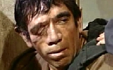 Anthony Quinn