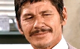 Charles Bronson