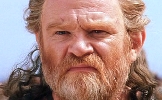 Brendan Gleeson